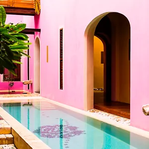 Rosas&xocolate Boutique Hotel+spa Hotel